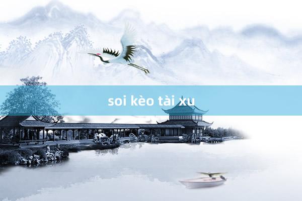 soi kèo tài xu