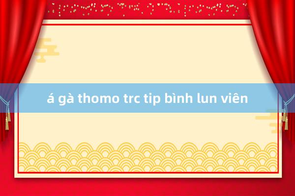 á gà thomo trc tip bình lun viên