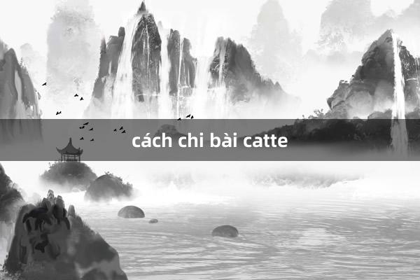 cách chi bài catte