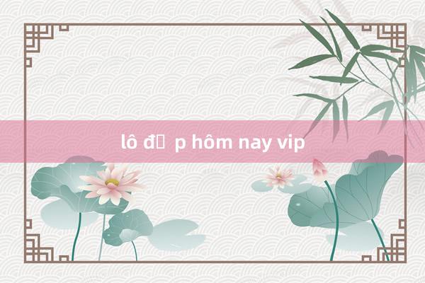 lô đẹp hôm nay vip