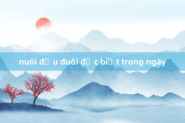 nuôi đầu đuôi đặc biệt trong ngày