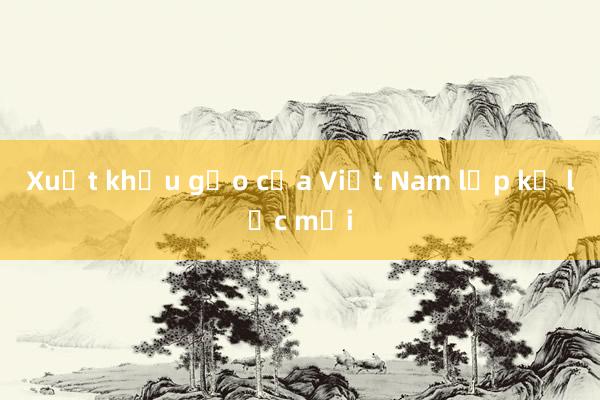 Xuất khẩu gạo của Việt Nam lập kỷ lục mới