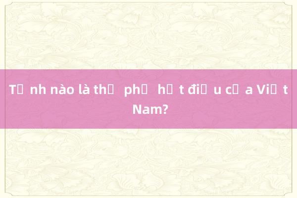 Tỉnh nào là thủ phủ hạt điều của Việt Nam?