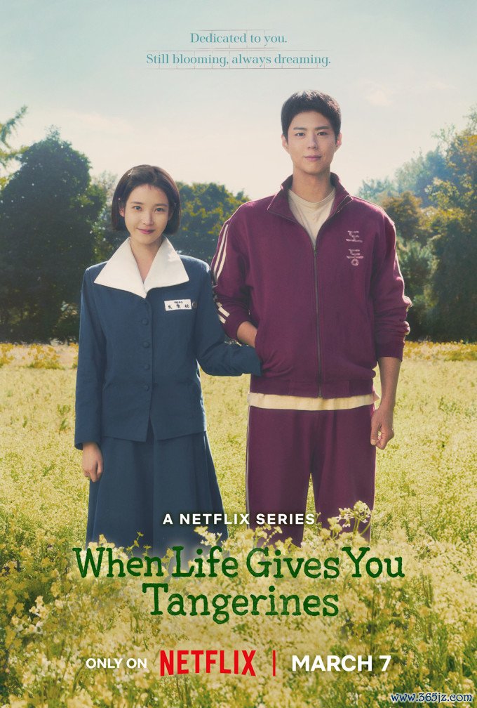 Poster phim When Life Gives You Tangerines. Ảnh: Netflix